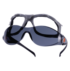 Delta Plus Pacaya Füme Koruyucu İş Gözlüğü