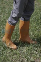 Palalı PVC Krep Uzun Çizme